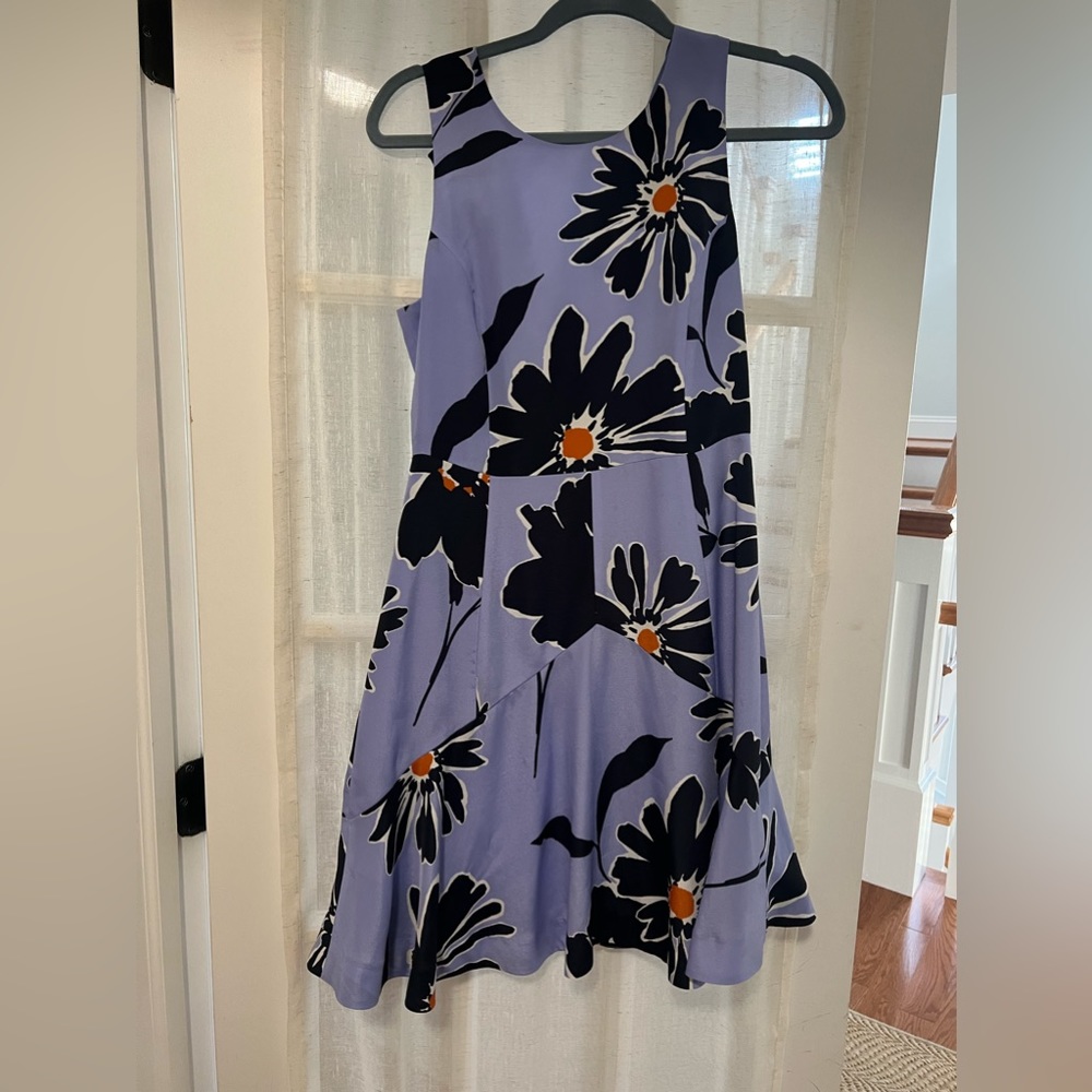 J Crew Dress